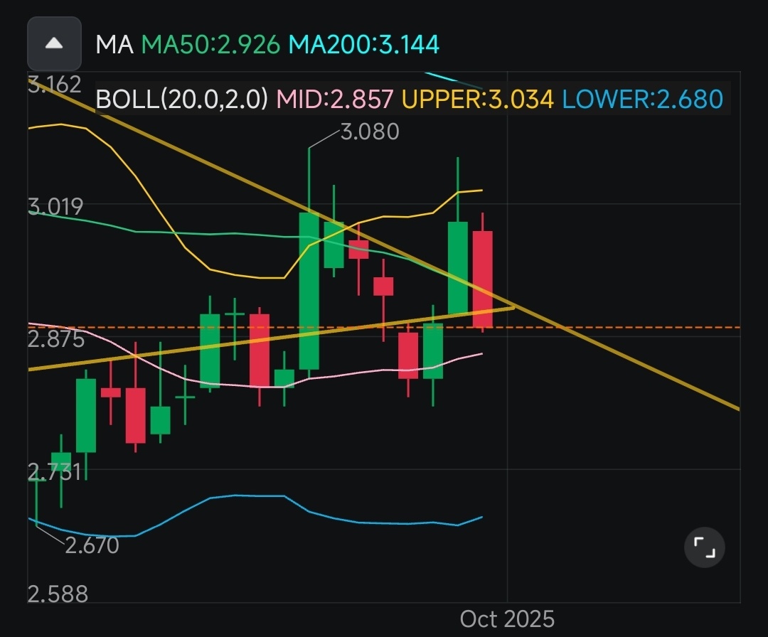 back where you belong