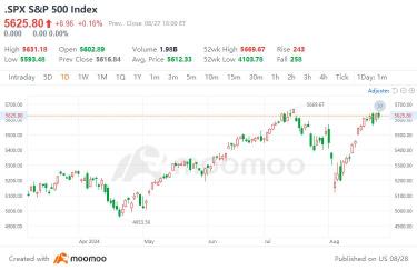 The Sharp V-Shaped Rebound of the Stock Market: Insights into the Global Asset Allocation Patterns