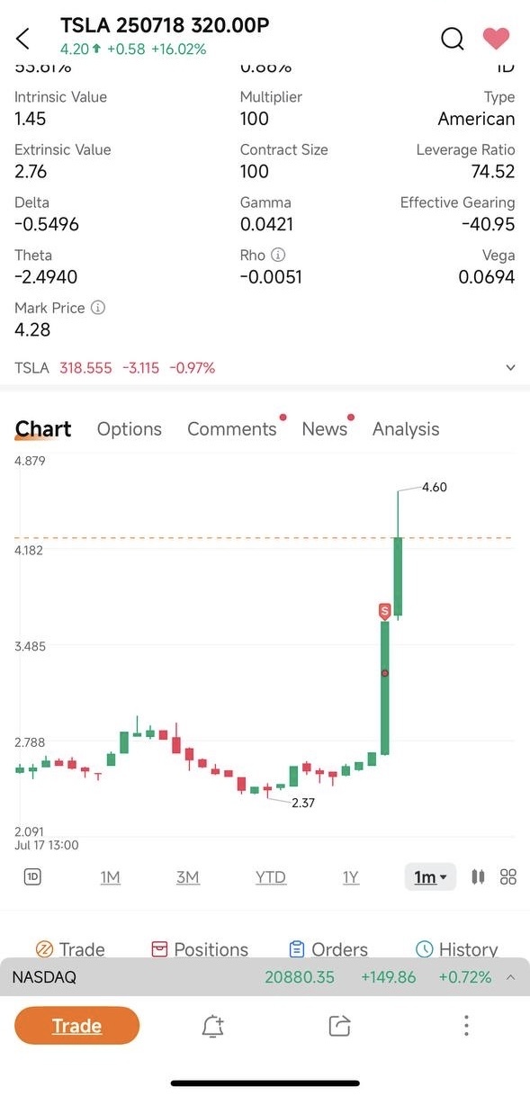 TSLA 看跌倉位加碼 🚗