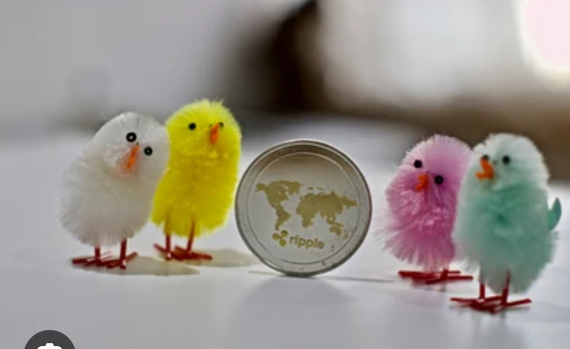 复活节小鸟 🐥