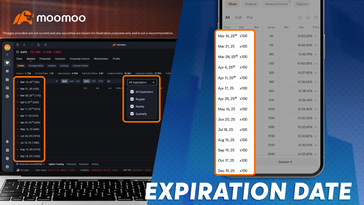 Options Workshop 1: options basics every new trader should know