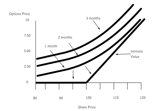 Options Workshop 4: The Basics of Option Pricing
