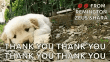 請不要忘記爲年度 Mooers 投票。請考慮我以及 Trytosaveabit，這樣我們會受到更多啓發去幫助和教導 ❤️