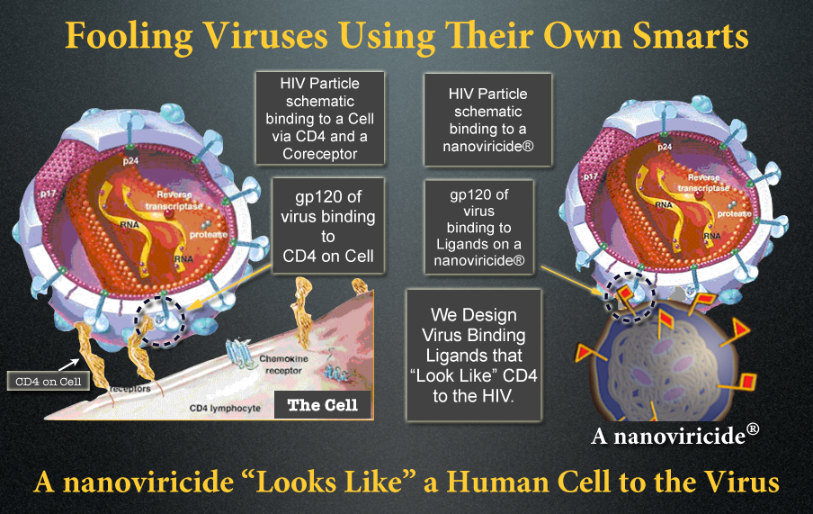 $Nanoviricides (NNVC.US)$ [Share Link: nanoviricides.c...] https://www.nanoviricides.com/Investor%20Info/company-news