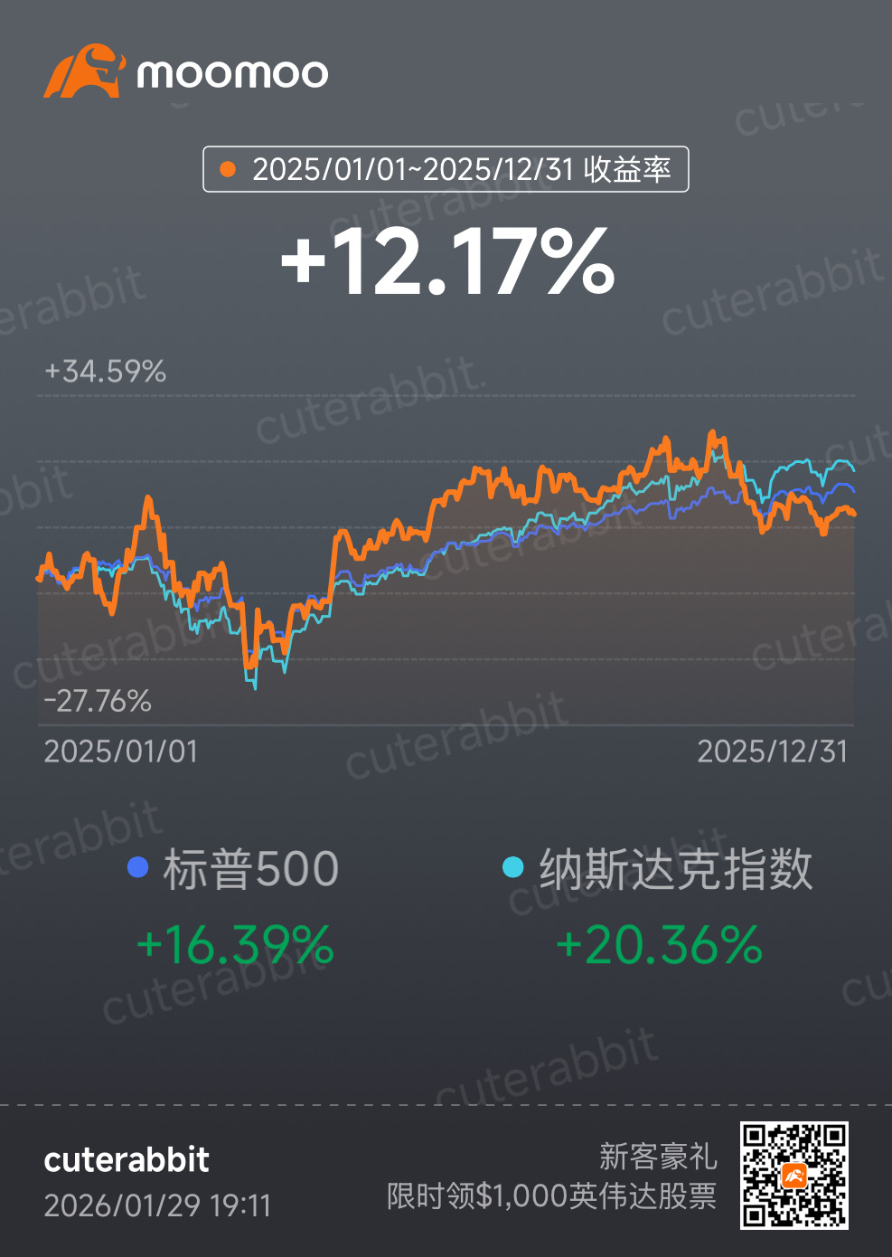 2025全年收益日历 / 收益曲线图
