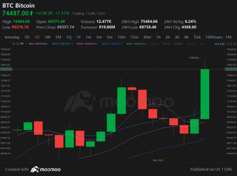 Market Trumps Past Records Wednesday Afternoon After Election | Live Stock