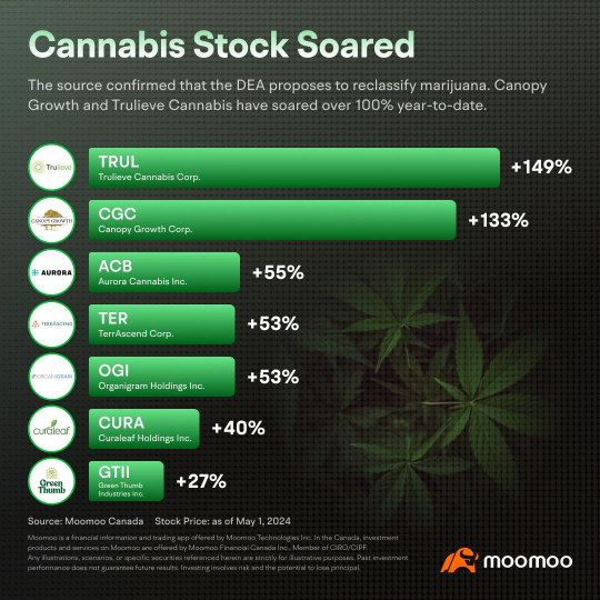 大麻関連株への投資の見通しとリスクの探求：転換点