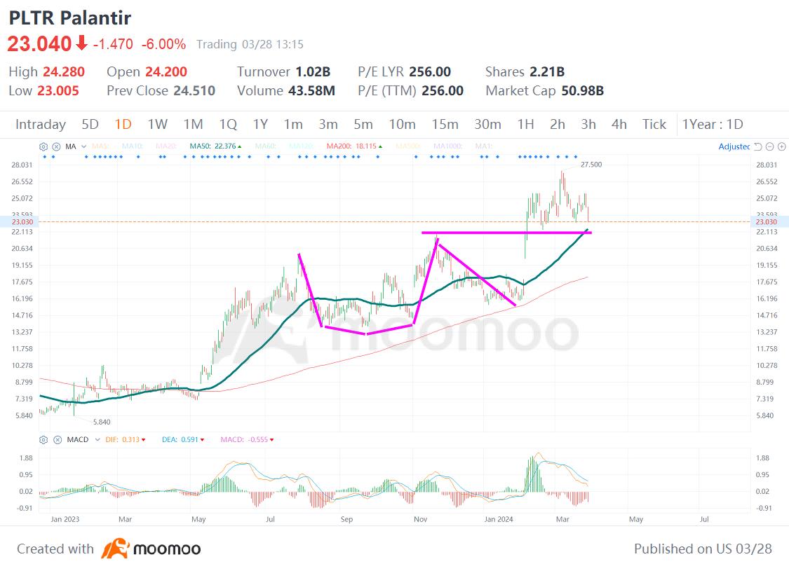 Palantir Technologies (PLTR)