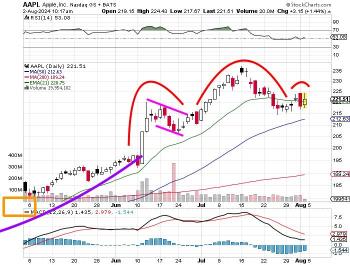 苹果 (AAPL)