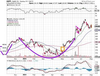 苹果 (AAPL)