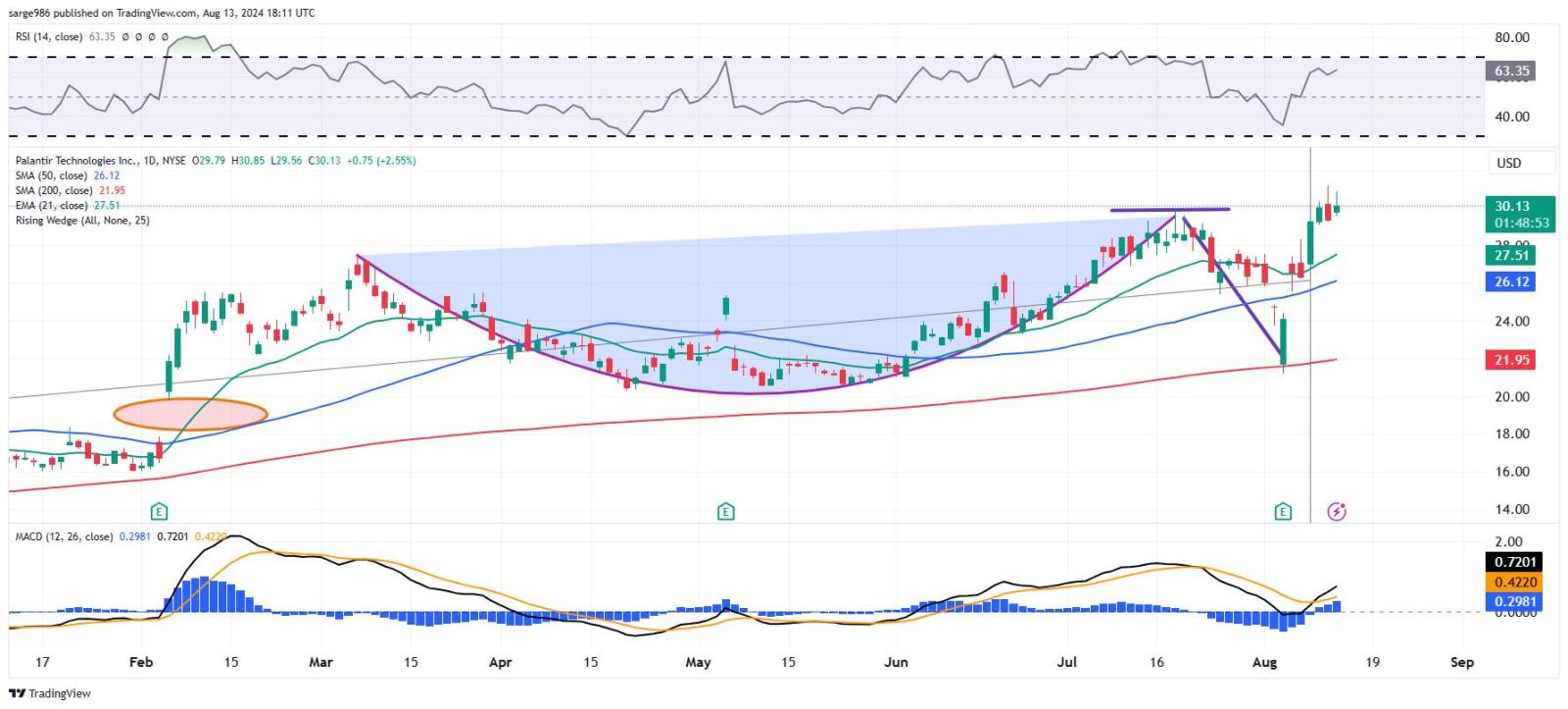 Palantir Technologies (PLTR)