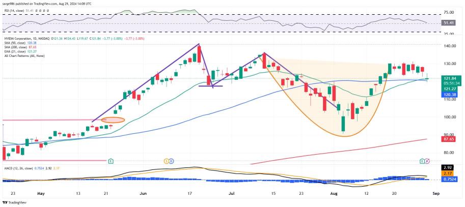 英伟达 (NVDA)