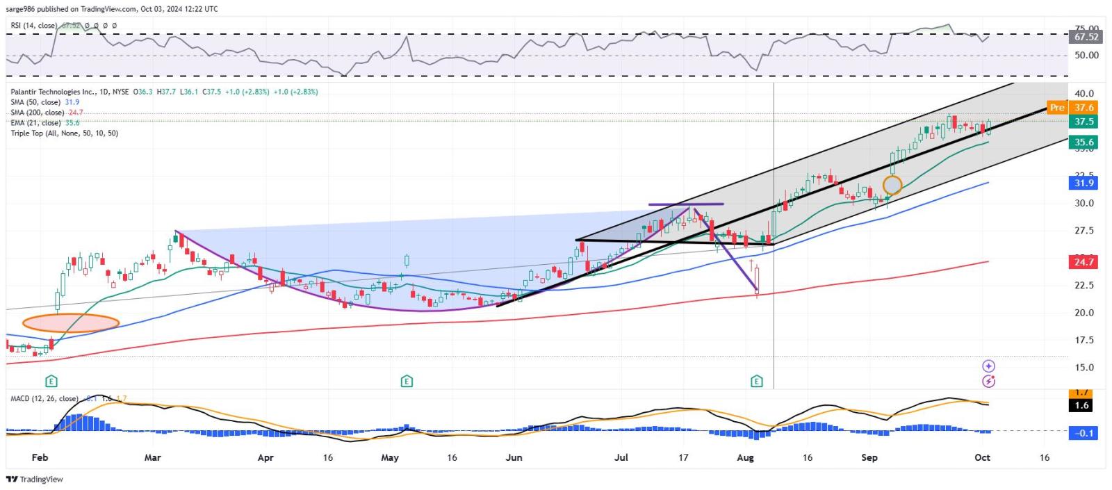 Palantir Technologies (PLTR)