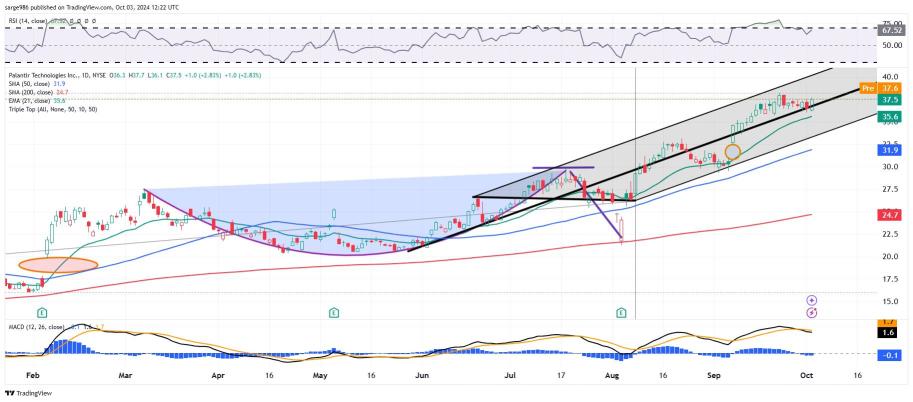 Palantir Technologies（PLTR）