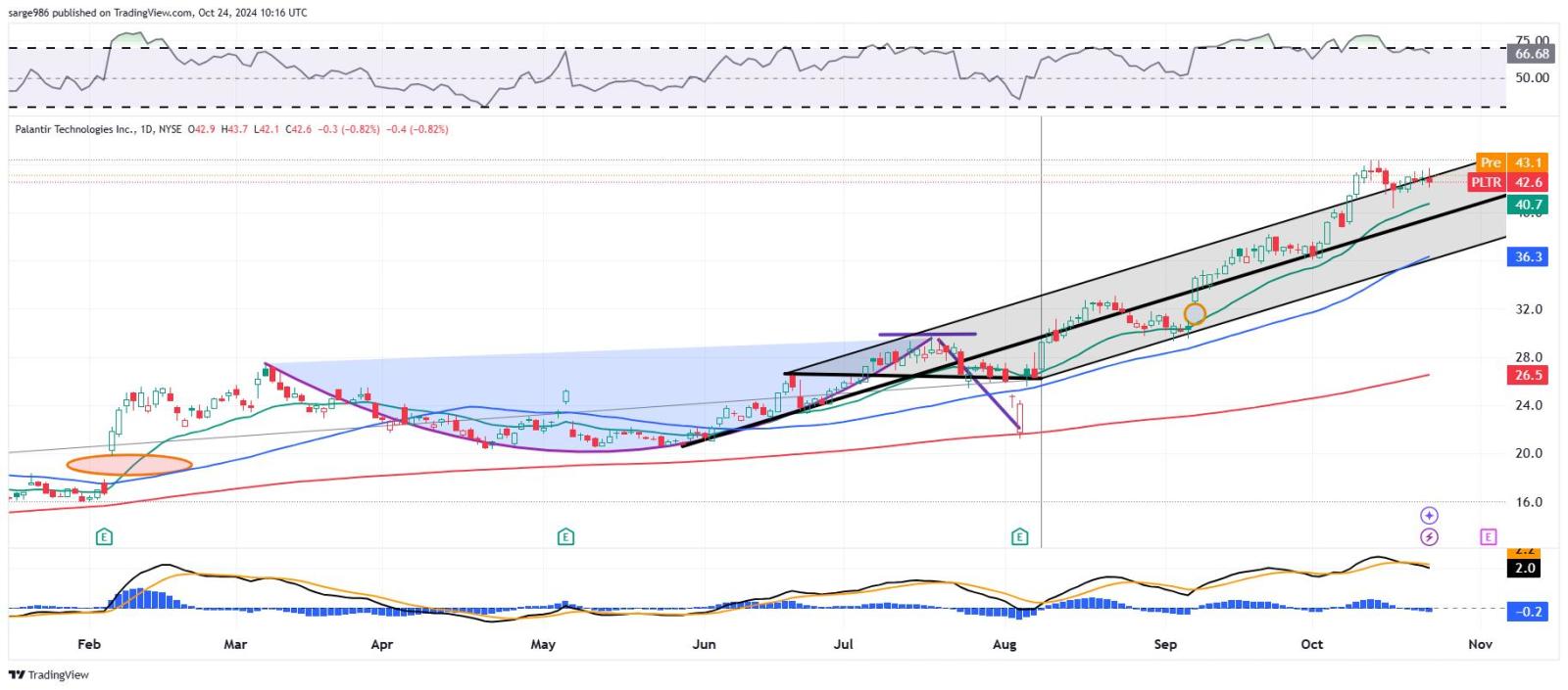 Palantir Technologies (PLTR)