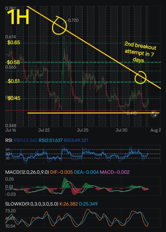 Bullish sentiment on HOLO !