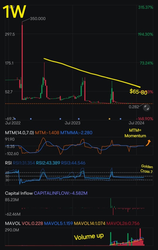 IMO 我們正在與 HOLO 一起做一些事情！