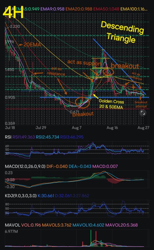 Bullish Signals !