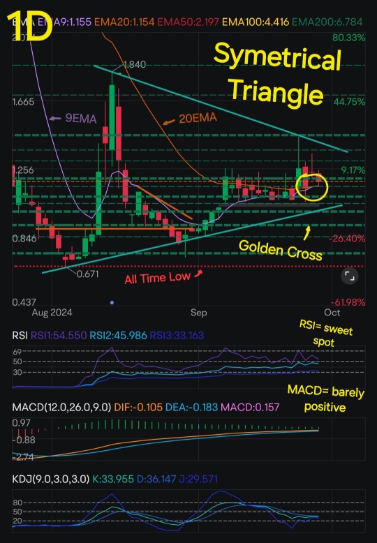 Bullish Sentiment for ConnectM Technology Solutions !