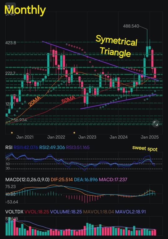 Tesla's Tactical Technical Analysis