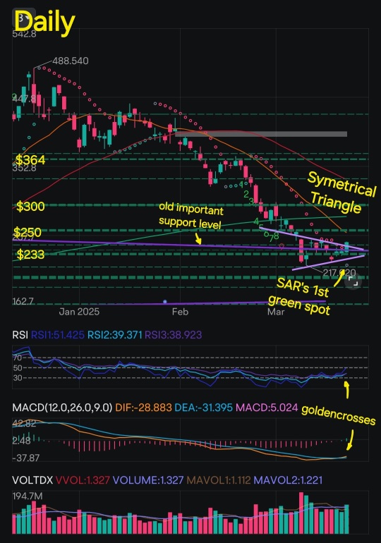 Tesla's Tactical Technical Analysis