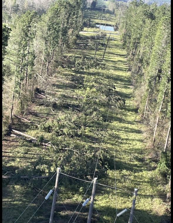 Just got this. I’ve never been through a hurricane event.🌀 🌀The pics speak for themselves. 📸 are from:Valdosta, Tifton, Wadley and Augusta, Georgia. U.S.A.