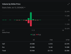 American Airlines Put Options Volume Climb as Investors Seek Hedge Against Price Slump