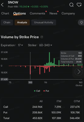 Snowflake Sees Increased Demand for Put Options Amid Stock Slump After Earnings