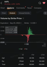 Apple Investors, Speculators Load Up on Put Options as Shares Decline