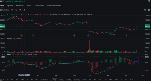 Nike Bulls Pile Onto Options Market After CEO Change Announcement