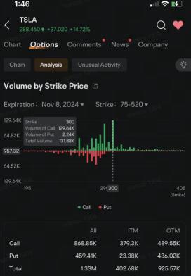 Tesla Bulls Load Up on $300 Call Options, Signaling Optimism Rally May Last