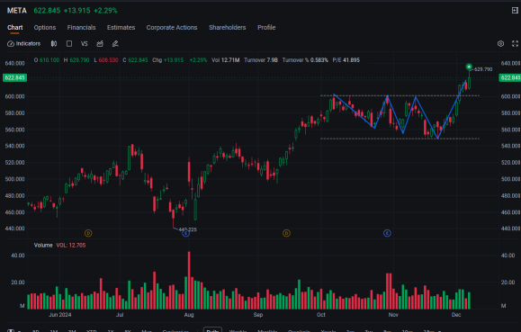 Meta's Record-Breaking Share Price Rally Boosts Options Volume After TikTok Ban Law Upheld