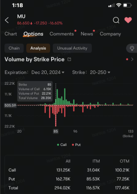 Micron Put Options Volume Jumps as Stock Heads for Worst Slump Since 2020