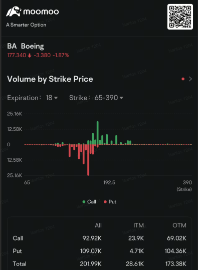 Boeing Put Options Jump as Stock Slides After Jeju Air Crash in South Korea