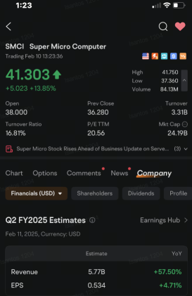 Super Micro Joins Nvidia, Tesla in Most Active Options Ahead of Business Update: Options Chatter