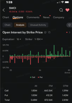 Super Micro Investors, Speculators Pile Onto Put Options as Stock Sinks: Options Chatter