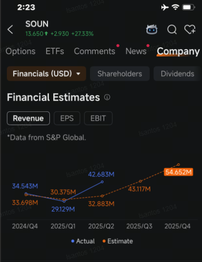 SoundHound Call Options Volume Triples After Revenue Blew Past Estimates: Options Chatter