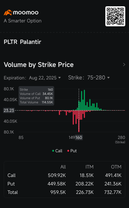 Palantir的看跌期权交易量随着股票进入修正区间而上升：期权动态