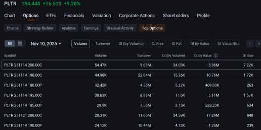 Palantir股价9%的上涨提升了看涨期权的吸引力，多头投资者踊跃入场：期权动态