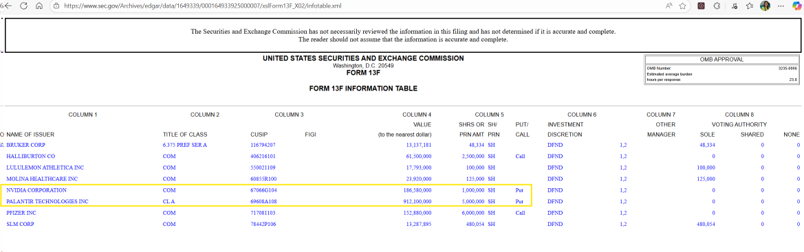 Palantir股价9%的上涨提升了看涨期权的吸引力，多头投资者踊跃入场：期权动态