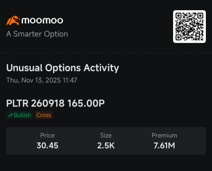 Palantir股票从历史高点下跌16%：期权市场动态未让多头退缩
