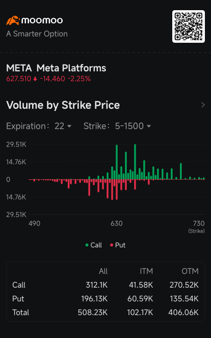 Meta's Stock Slump Boosts Demand for Put Options for Mag 7's Worst Performer: Options Chatter