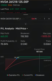 Nvidia Sees Robust Demand for Put Options as Stock Struggles to Break Out: Options Chatter