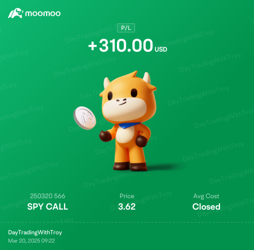 $310 盈利 SPY 看涨期权！