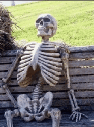 Those who waited for Google to drop down to 300 again