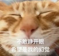 $特斯拉 (TSLA.US)$