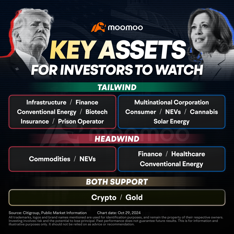 Unusual Options Activity in PLTR: Election Week Investment Opportunities