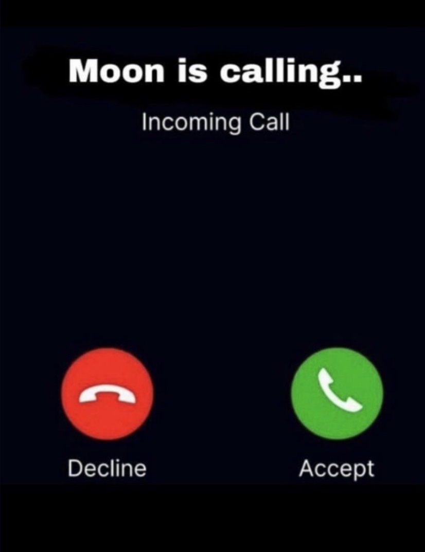 BITCOIN WILL “NEVER” HIT $100,000 🤔 YOU WERE RIGHT 😏 It wi... -  moomooコミュニティ