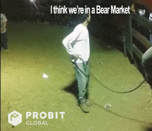我認爲我們現在處於熊市 🐻 … 📉 (牛市 🐂 🔥 vs 🔥 熊市 🐻)