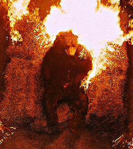 我認爲我們現在處於熊市 🐻 … 📉 (牛市 🐂 🔥 vs 🔥 熊市 🐻)